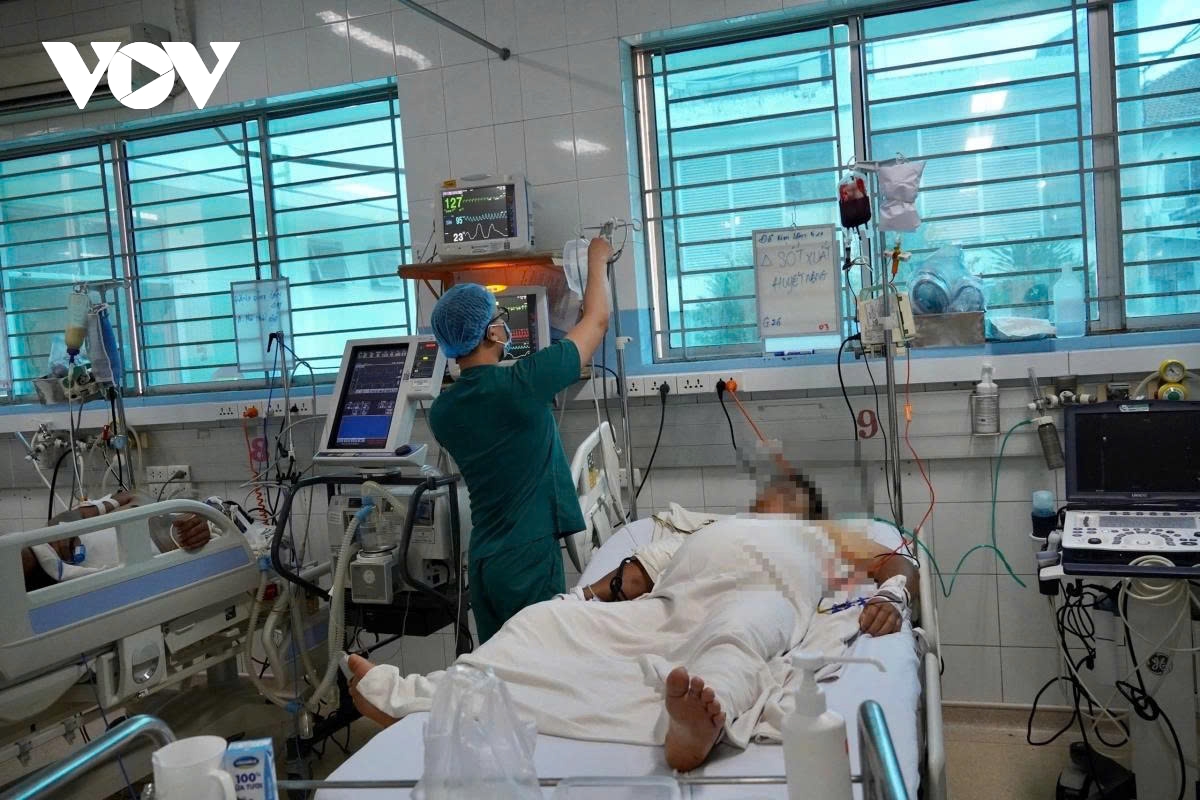 HCM City steps up dengue prevention amid surge in cases and deaths